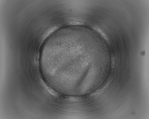 X0000091100490200708201524