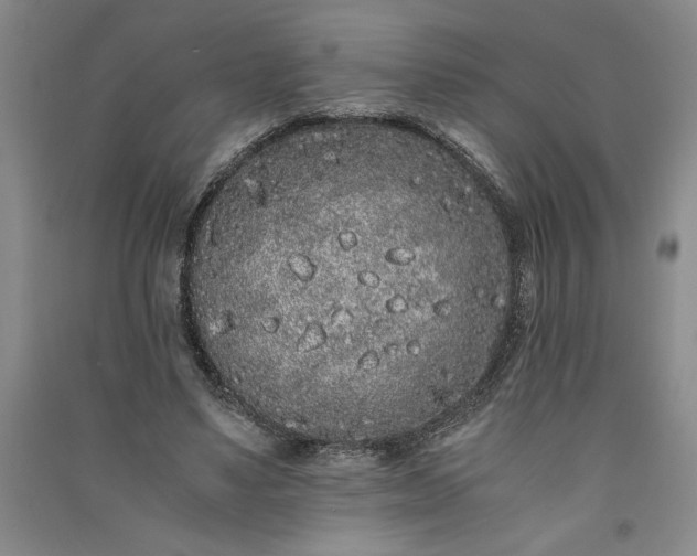 X0000091100491200708201524