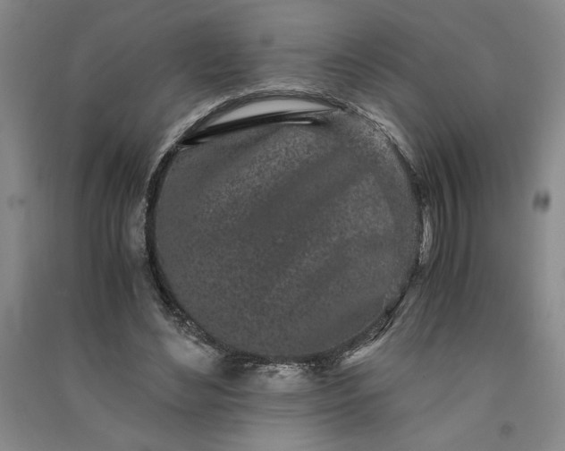 X0000091100492200708201524