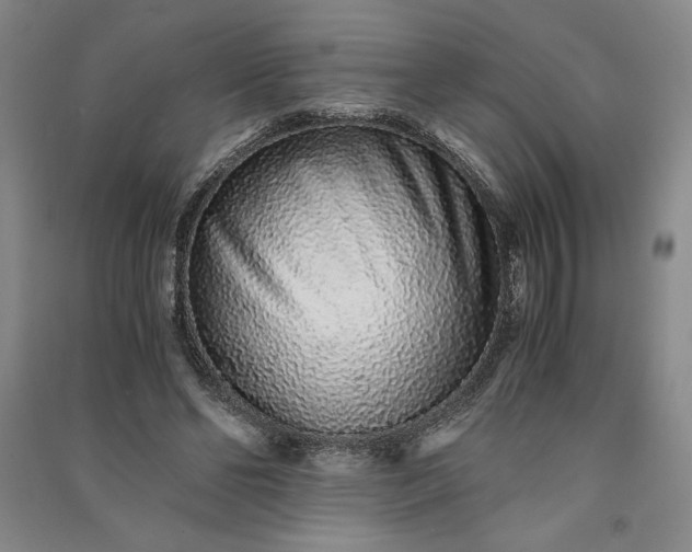 X0000091100494200708201524