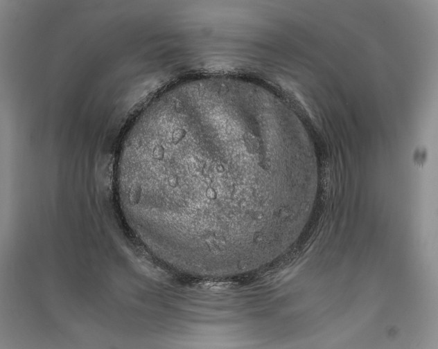 X0000091100495200708201524