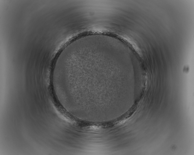 X0000091100496200708201524