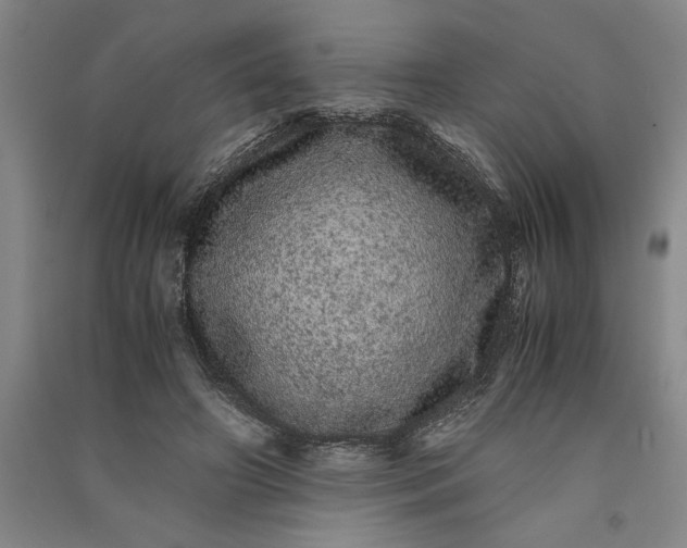 X0000091100498200708201524