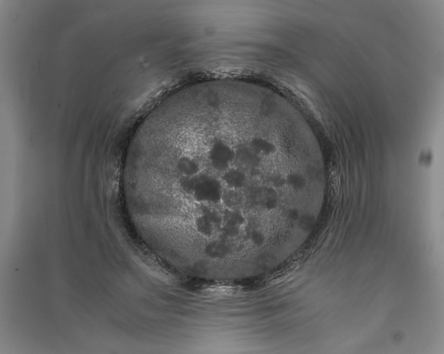 X0000091100499200708201524