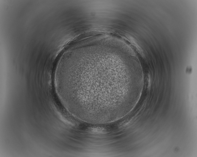 X0000091100500200708201524