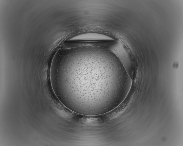 X0000091100501200708201524