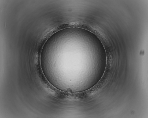 X0000091100502200708201524