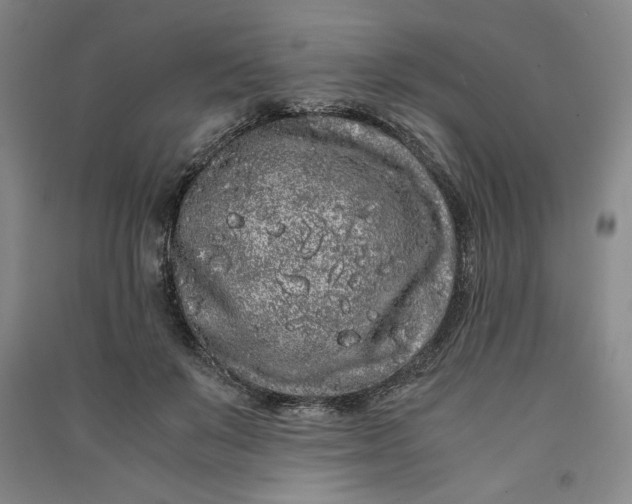 X0000091100503200708201524