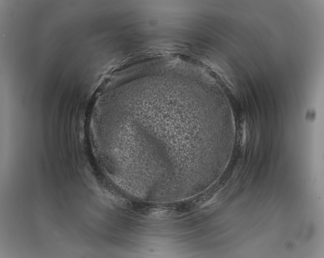 X0000091100504200708201524