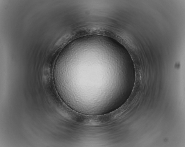 X0000091100506200708201524