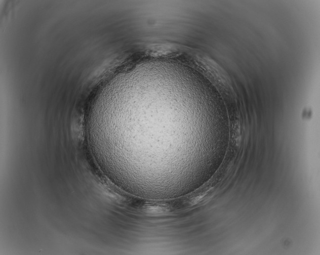 X0000091100510200708201524