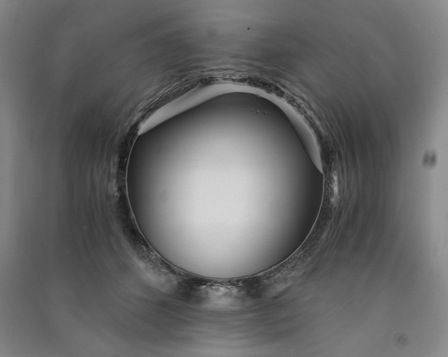 X0000091100512200708201524