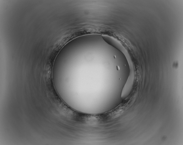 X0000091100513200708201524