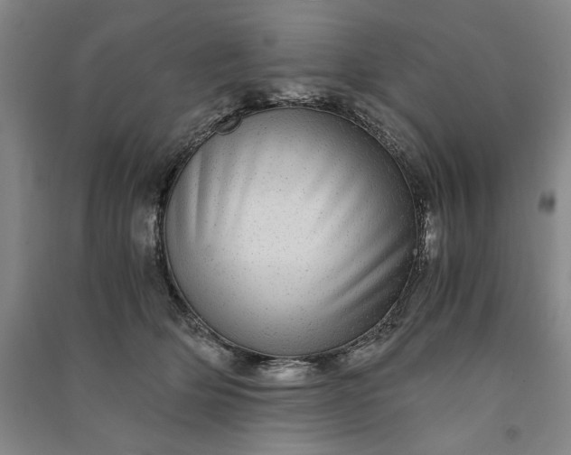 X0000091100514200708201524