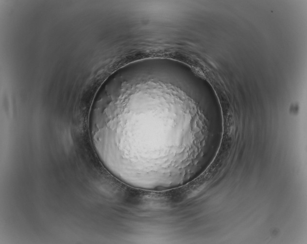 X0000091100515200708201524