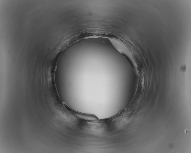 X0000091100516200708201524