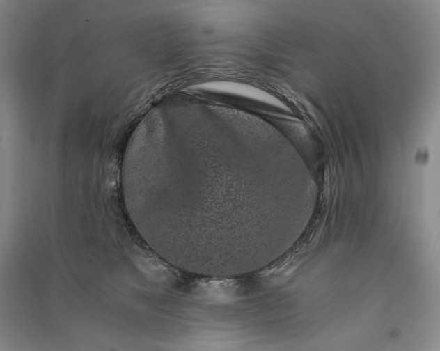 X0000091100517200708201524