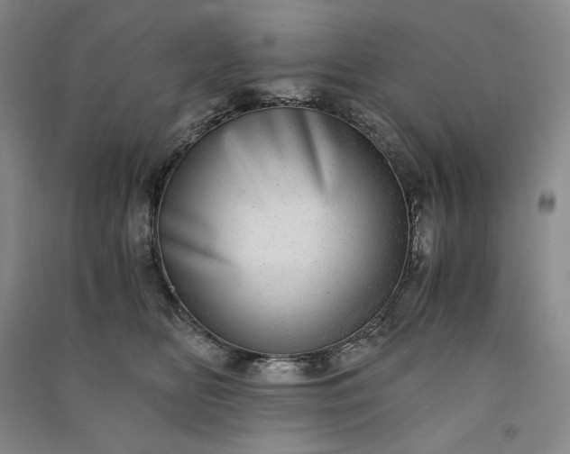 X0000091100518200708201524