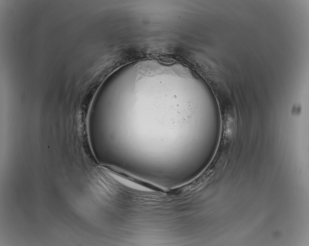 X0000091100519200708201524