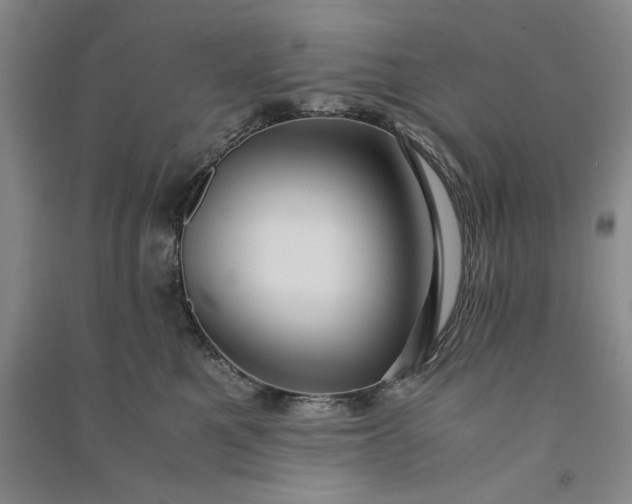 X0000091100521200708201524