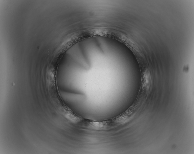 X0000091100522200708201524