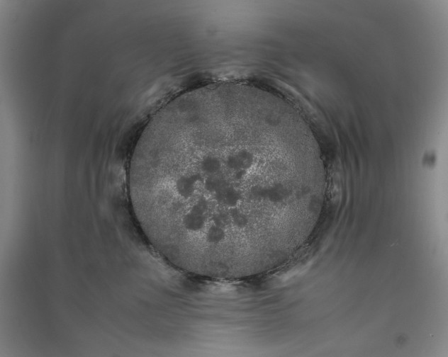 X0000091100523200708201524