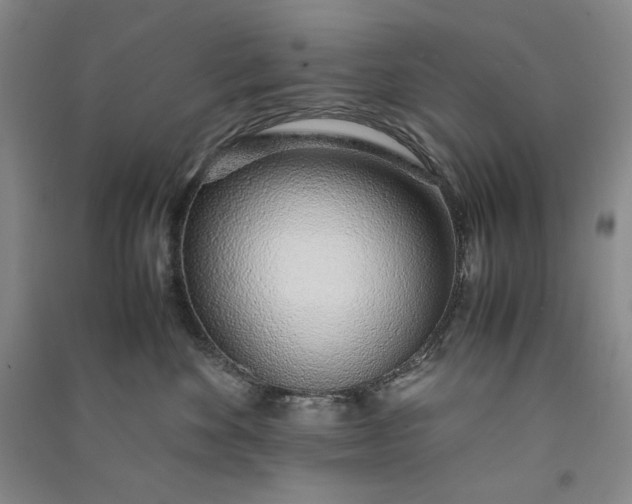 X0000091100524200708201524