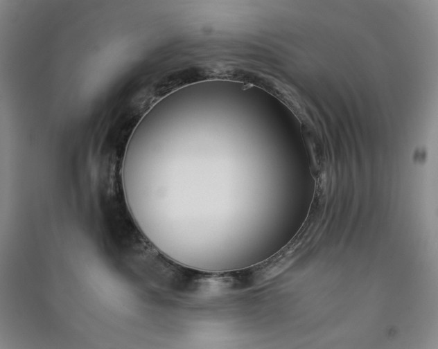 X0000091100525200708201524