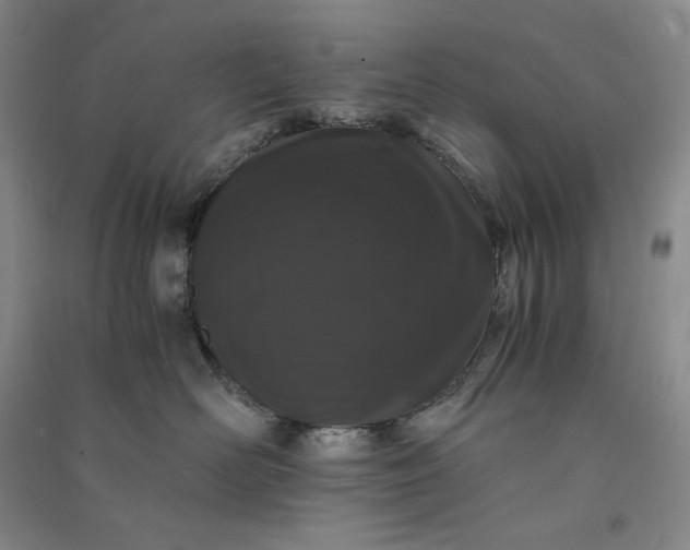 X0000091100526200708201524