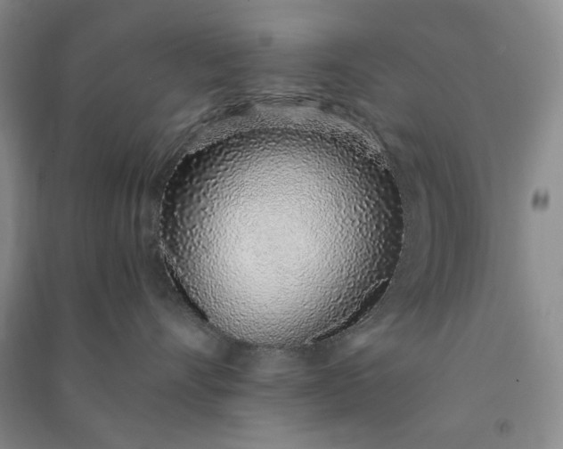 X0000091100528200708201524