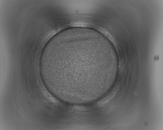 X0000091100529200708201523