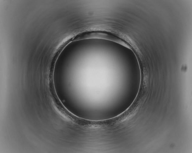 X0000091100530200708201523