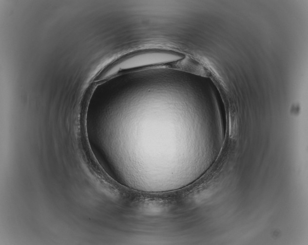 X0000091100531200708201523