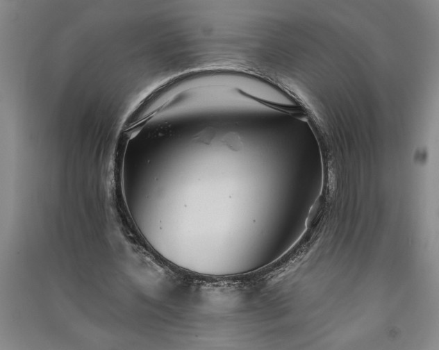 X0000091100532200708201523