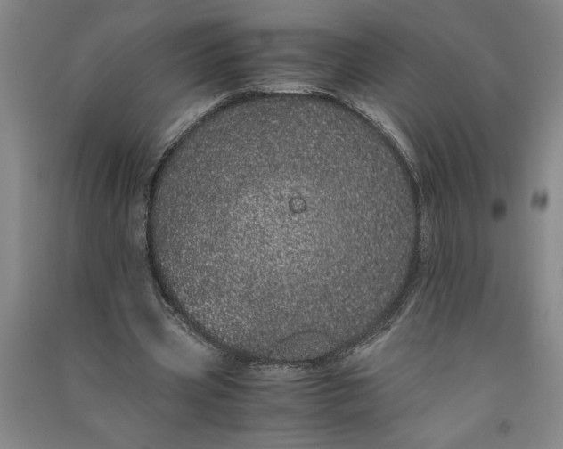 X0000091100533200708201523