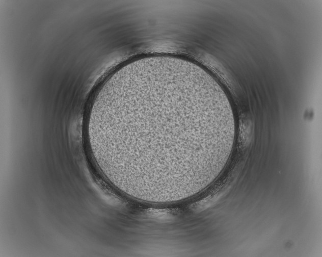 X0000091100534200708201523