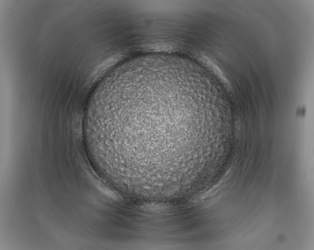 X0000091100537200708201523