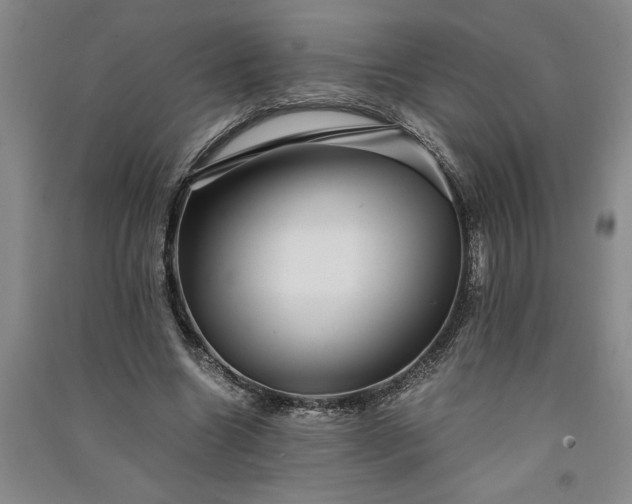 X0000091100538200708201523