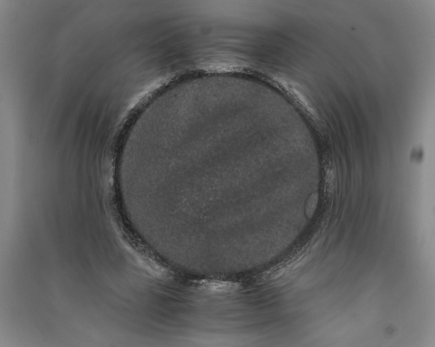 X0000091100539200708201523