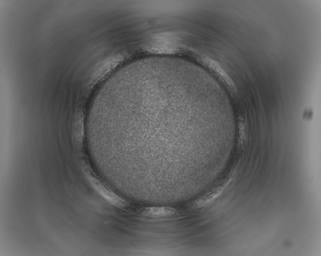 X0000091100541200708201523