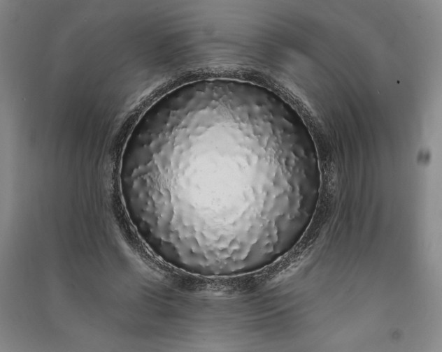 X0000091100542200708201523