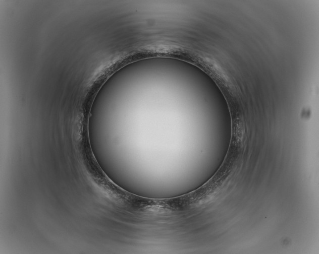 X0000091100544200708201523