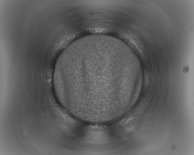 X0000091100545200708201523