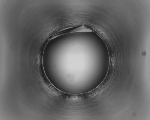 X0000091100546200708201523