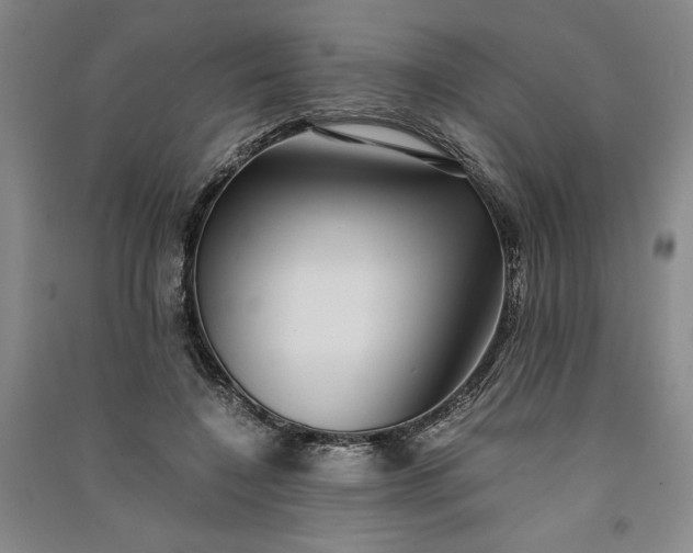 X0000091100548200708201523