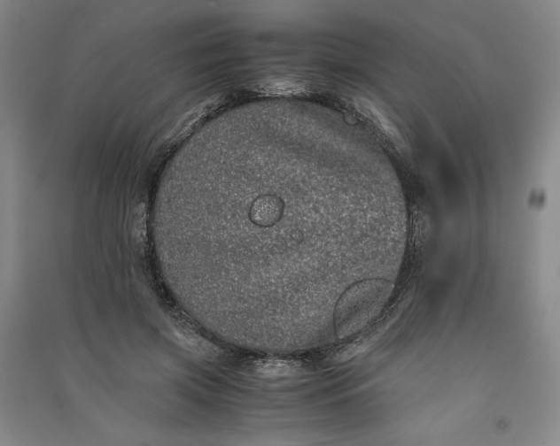 X0000091100549200708201523