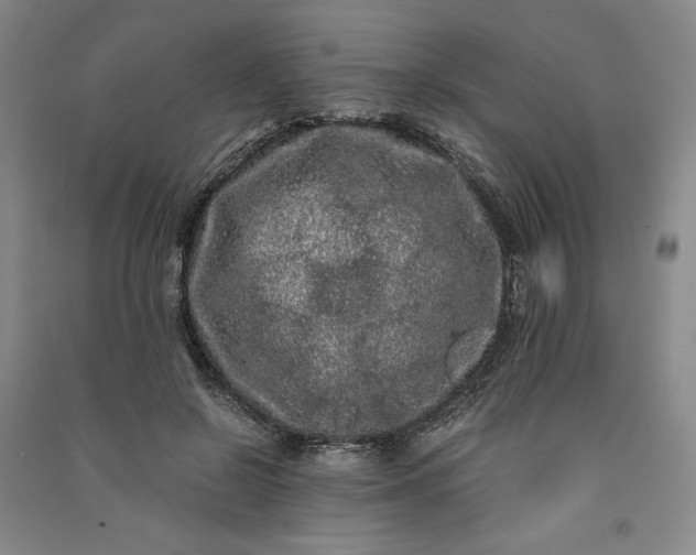 X0000091100550200708201523