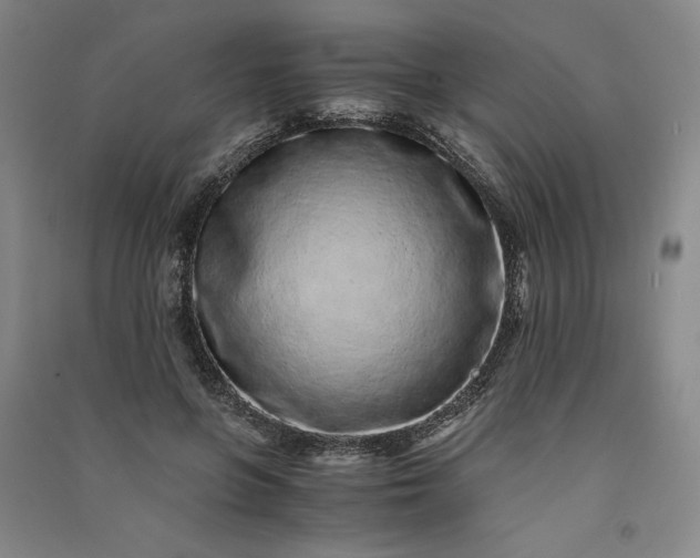 X0000091100551200708201523