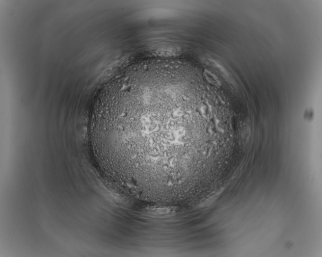 X0000091100553200708201523