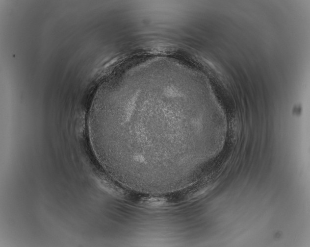 X0000091100554200708201523